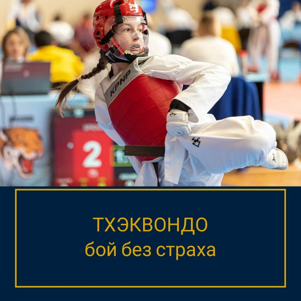 Тхэквондо. Бой без страха Тхэквондо без страха, страхи бойцов тхэквондо, психология тхэквондо, консультация психолога, психология тхэквондо, лучший спортивный психолог, онлайн консультация психолога