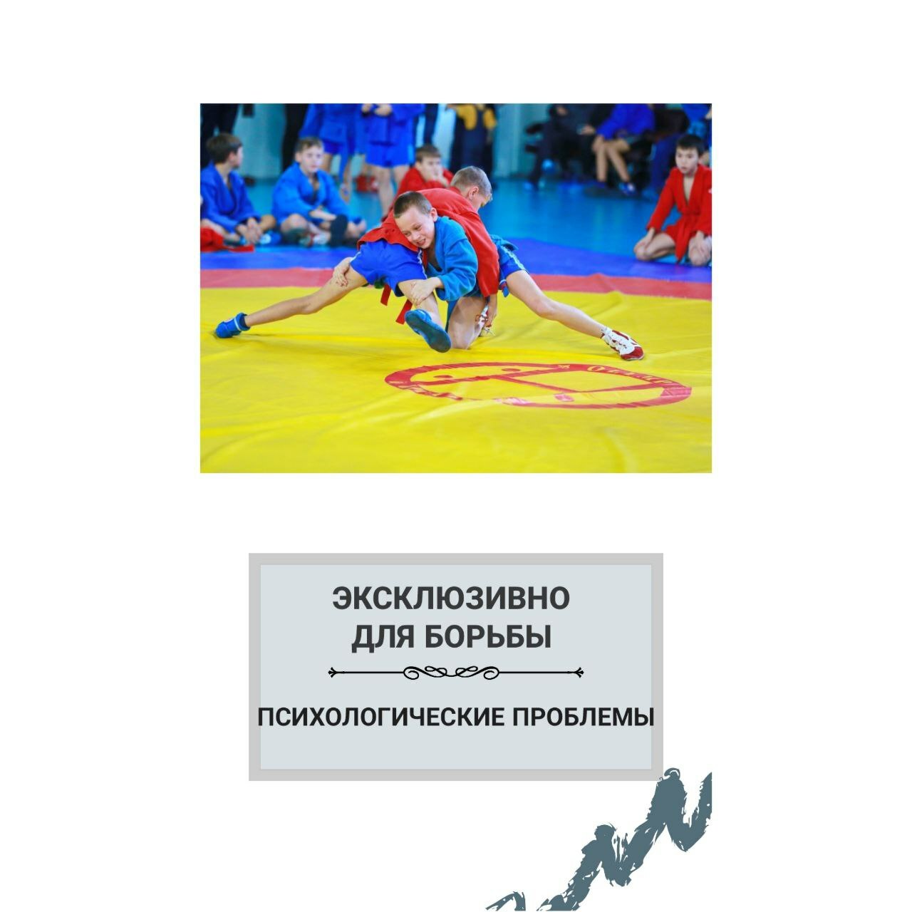 ПСИХОЛОГИЧЕСКИЕ ПРОБЛЕМЫ БОРЦОВ Спортивная психология для борцов, спортивная психология для силовых видов спорта, спортивный психолог Войнова Елена, консультация спортсменов, спортивный психолог онлайн
