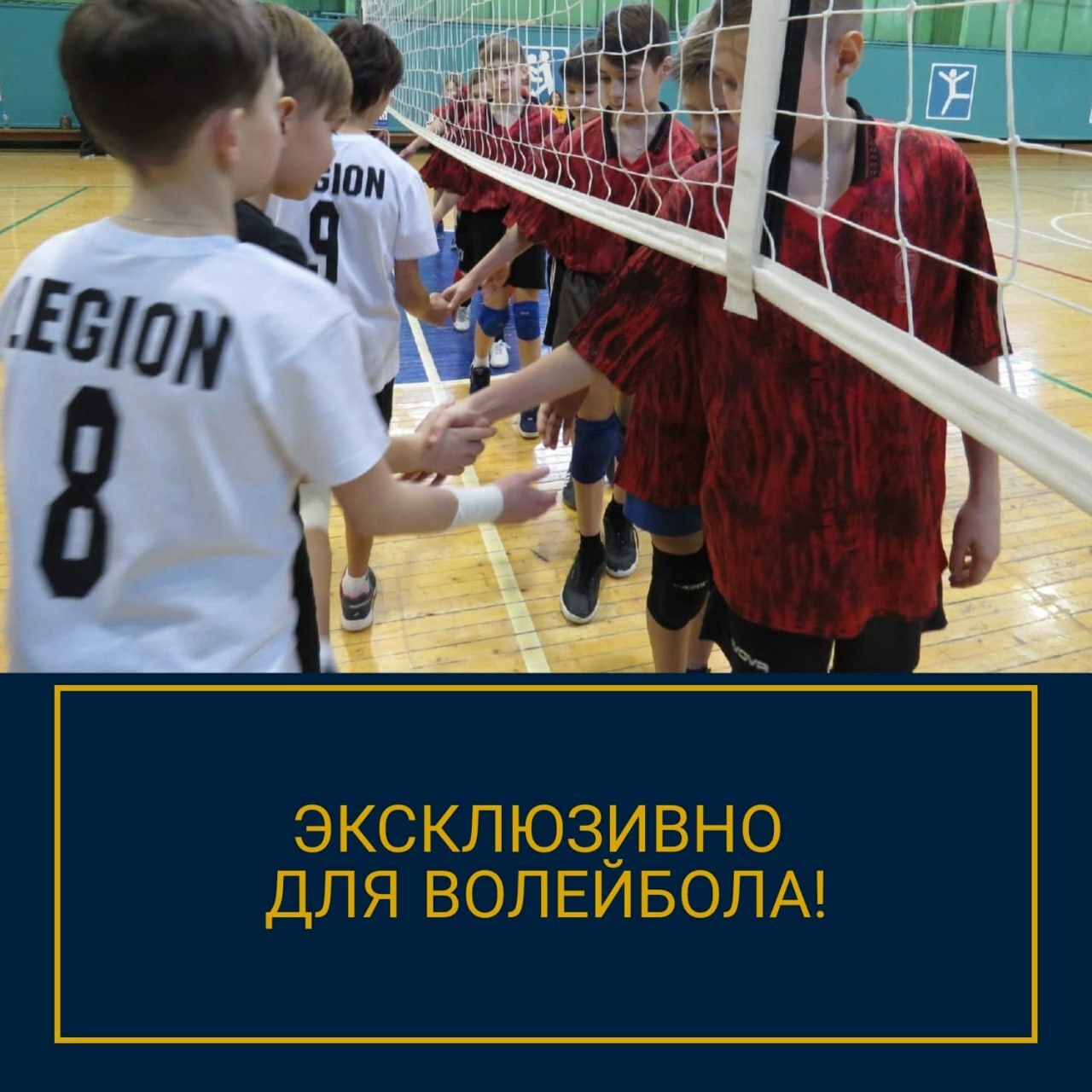 страхи спортсменов страхи спортсменов волейбол, преодоление страха спортсменов,задача тренера, психологическая подготовка команды