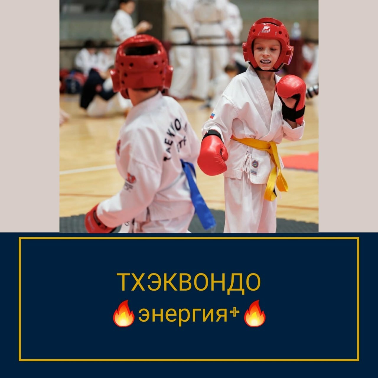 Тхэквондо. Энергия спортсмена Тхэквондо. Физиологическая база для успеха спортсмена