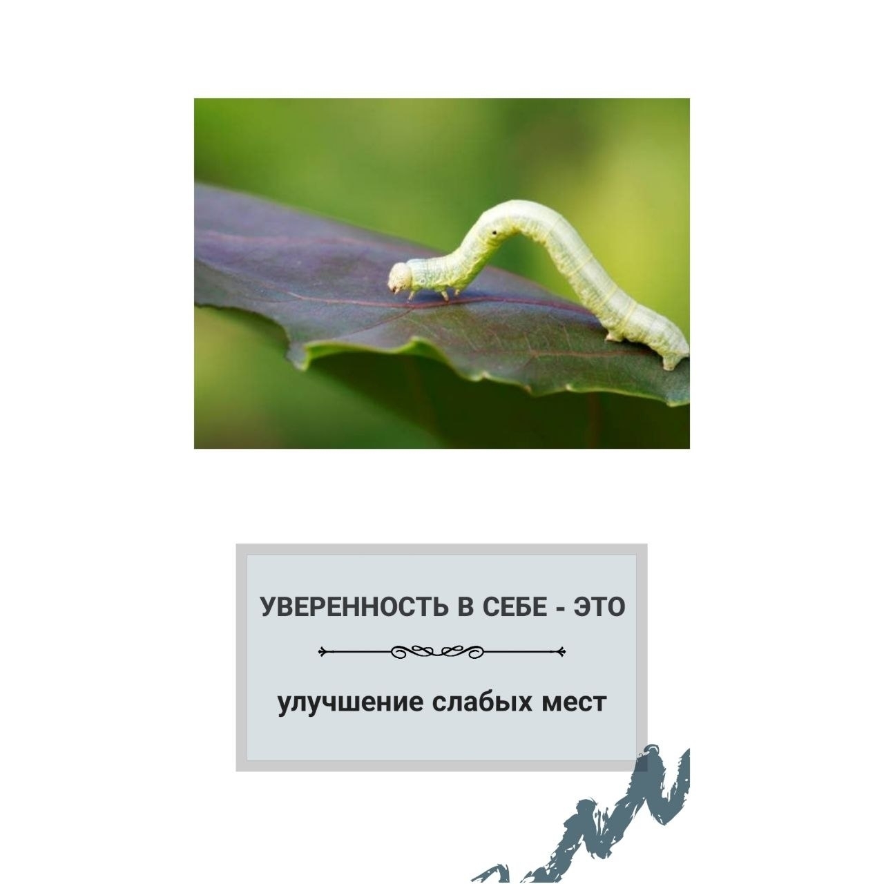 страхи спортсмена, постановка задач на соревновании, формирование уверенности спортсмена преодоление страха спортсмена,уверенность спортсмена, причины неудач спортсмена