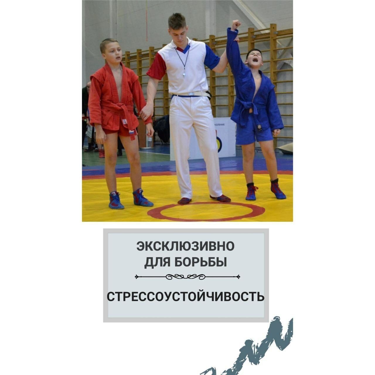 стрессоустойчивость для борцов Стрессоустойчивость спортсменов, стресс у борцов, консультация спортивного психолога, лучший спортивный психолог