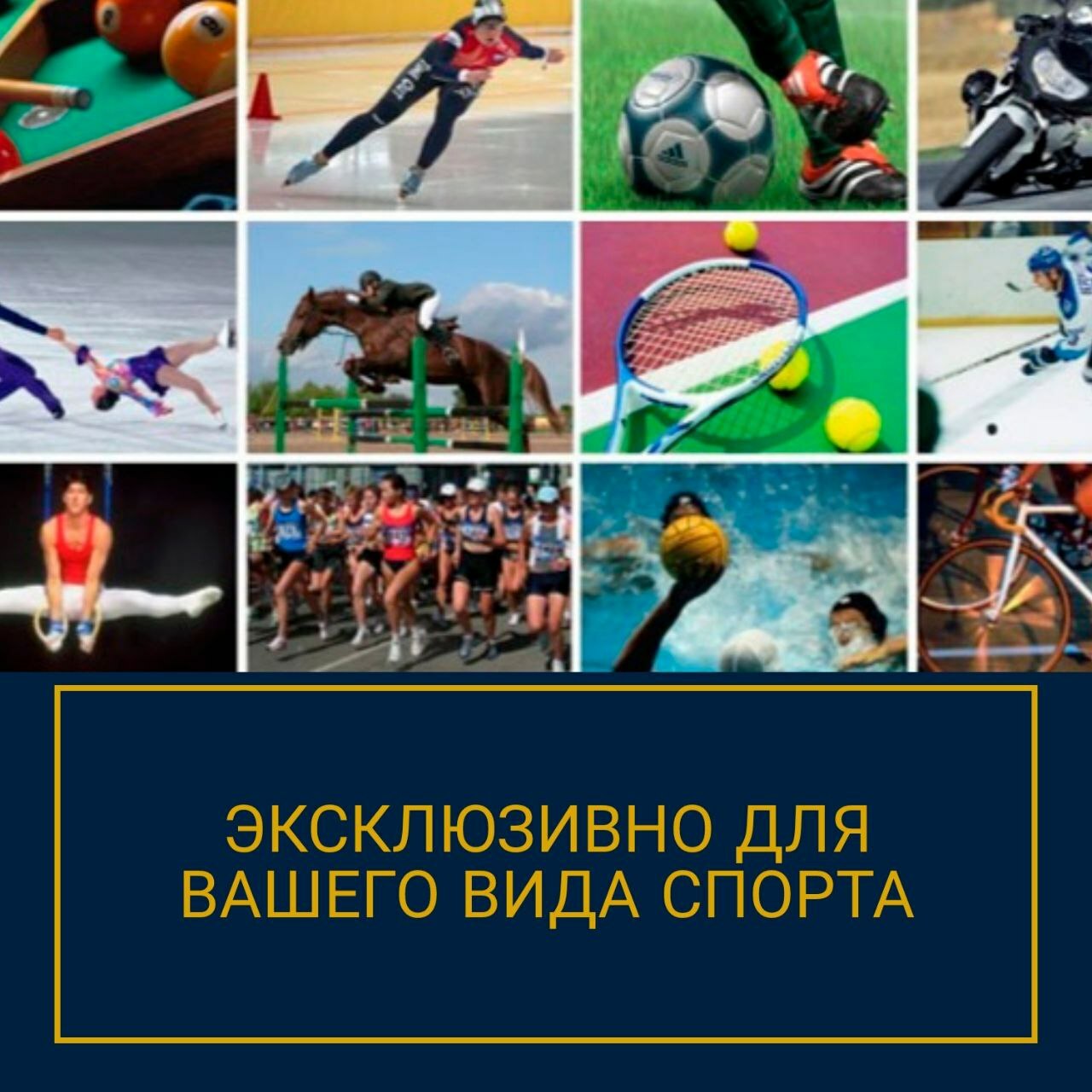 особенности психологической подготовки спортсменов. психолог для борцов, тхэквондо, пловцов, волейболистов, Елена Войнова сайт, Елена Войнова соцсети